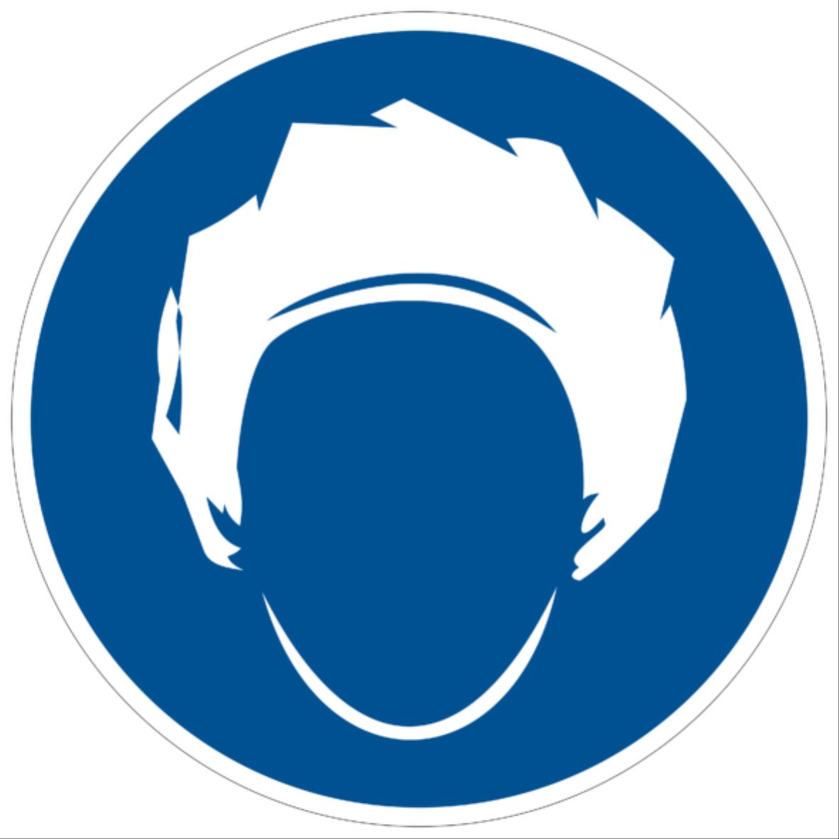 MS-HPMS-HP处方贴纸